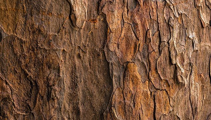 Non-Toxic Natural Wood Finishes & Preservatives